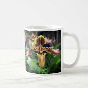 Caneca De Café Flor de orquídea