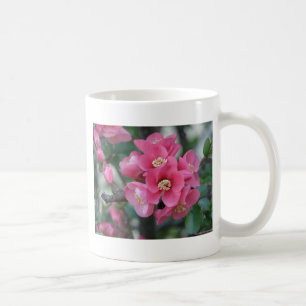 Caneca De Café Flor de Quince em Flor Rosa na Primavera