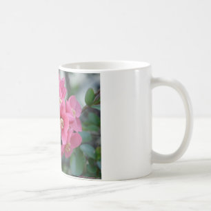 Caneca De Café Flor de Quince em Flor Rosa na Primavera
