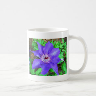 Caneca De Café Flor do Clematis roxo