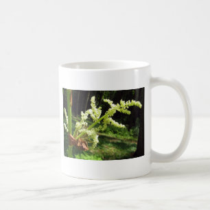 Caneca De Café Flor Rhubarb Stalks Natureza Foto