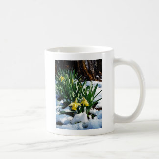 Caneca De Café Flores amarelas Daffodils na neve