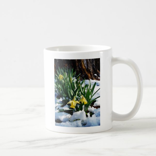 Caneca De Café Flores amarelas Daffodils na neve (Direita)