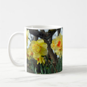 Caneca De Café Flores amarelas do daffodil