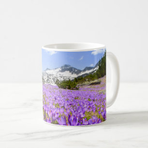 Caneca De Café Flores   Crocus Pirin Mountain Park Bulgária