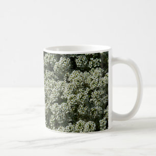 Caneca De Café Flores de Alyssum Doce Floral Branco