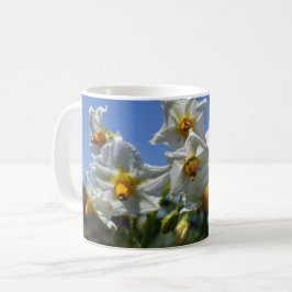 Caneca De Café Flores de amido Solanum tuberosum