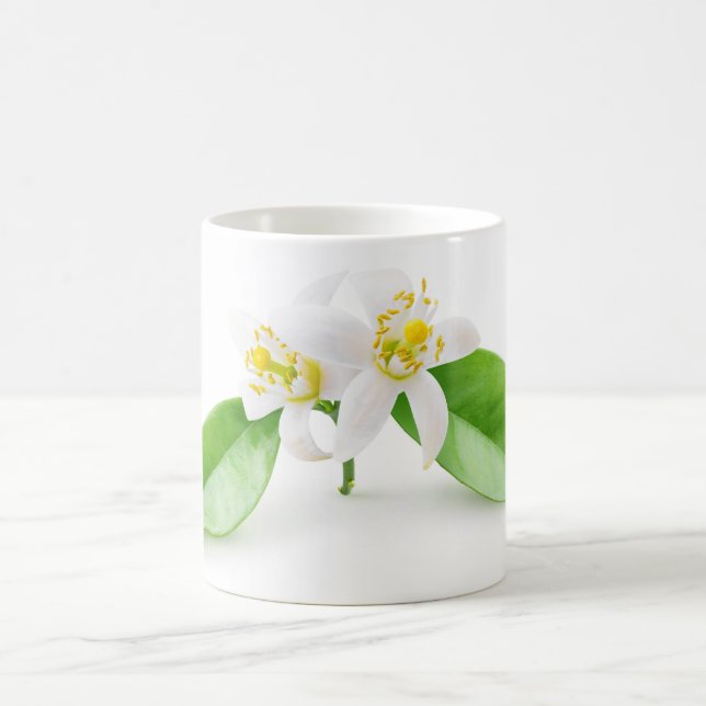 Caneca De Café Flores de árvore laranja (Centro)