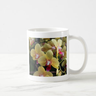 Caneca De Café Flores de orquídea amarelas