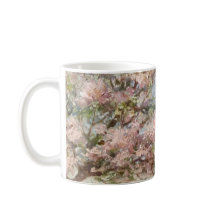 Flores de Primavera em Flor