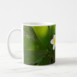 Caneca De Café Flores Fragrantes Frangipani