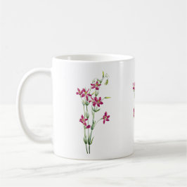 Caneca De Café Flores Vintage - Centaurium por Mary Vaux Walcott