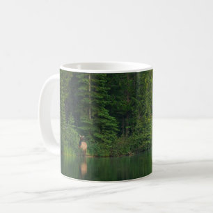 Caneca De Café Florestas   Elk no Banff National Park Alberta