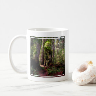 Caneca De Café Florestas   Sequoias Forest California