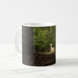 Caneca De Café Florestas   Veado branco na floresta