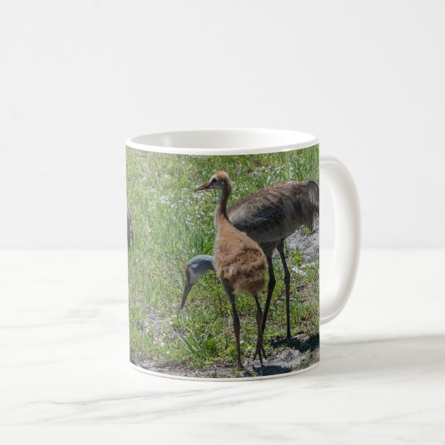 Caneca De Café Flórida Sandhill Cranes Nature Fotografia (Frente Esquerda)