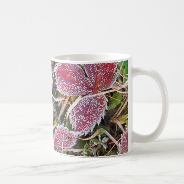 Caneca De Café Folhas cobertas de geada, Canadá (Direita)