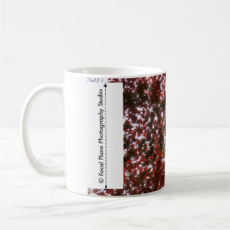 Caneca De Café Folhas de bordo vermelhas da folha
