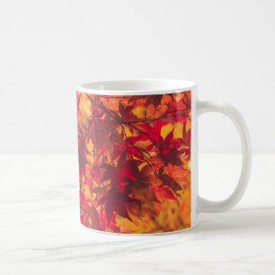 Caneca De Café Folhas de Outono Vermelhas e Laranjas Natureza