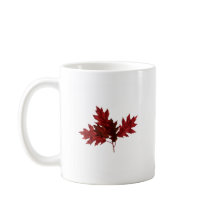 Folhas do carvalho vermelho