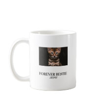 Forever bastie minimilist pet bastie