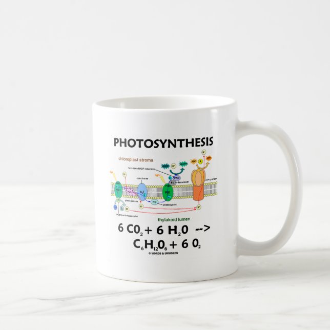 Caneca De Café Fórmula de Fotossíntese (Química) (Direita)
