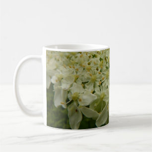 Caneca De Café Foto da Flor Silvestre Rainha Anne's Lace