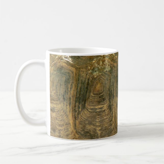 Caneca De Café Foto da Tortoise Shell Nature (Esquerda)