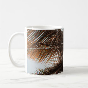 Caneca De Café Foto de baixo ângulo do coco