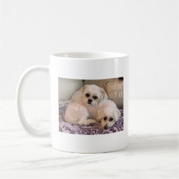 Caneca De Café Foto de Cachorros Fofos Maltese e Shih Tzu