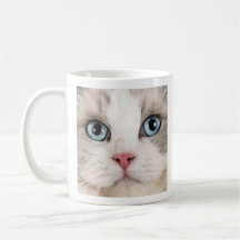 Foto de café e gatos apaixonados