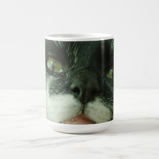 Caneca De Café Foto de Gato Engraçado Animal de Estimação