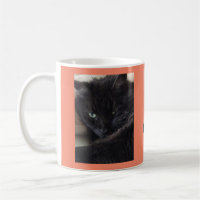 Foto de Gato Preto e Bonito, Personalizada