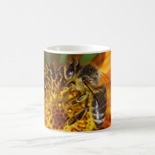 Caneca De Café Foto de Macro de Abelha de Mel Ocidental