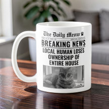 Foto de Notícias de Última Hora de Gato Engraçado