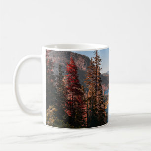 CANECA DE CAFÉ FOTO DE PAISAGEM DAS ÁRVORES PERTO DO CORPO DE Á