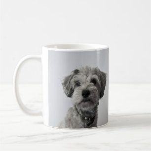 Caneca De Café Foto de retrato de filhote de Schnauzer