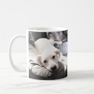 Caneca De Café Foto de um Cachorro Branco Bonito saindo com Café