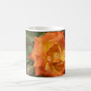 Caneca De Café Foto de um rosa de laranja e rosebuds
