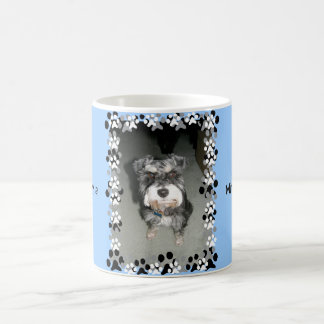 Caneca De Café Foto do Schnauzer diminuto