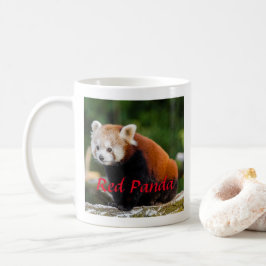 Caneca De Café Fotografia Adorável de Panda Vermelha