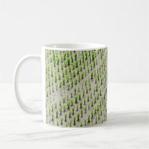 Caneca De Café Fotografia aérea das culturas de arroz durante o