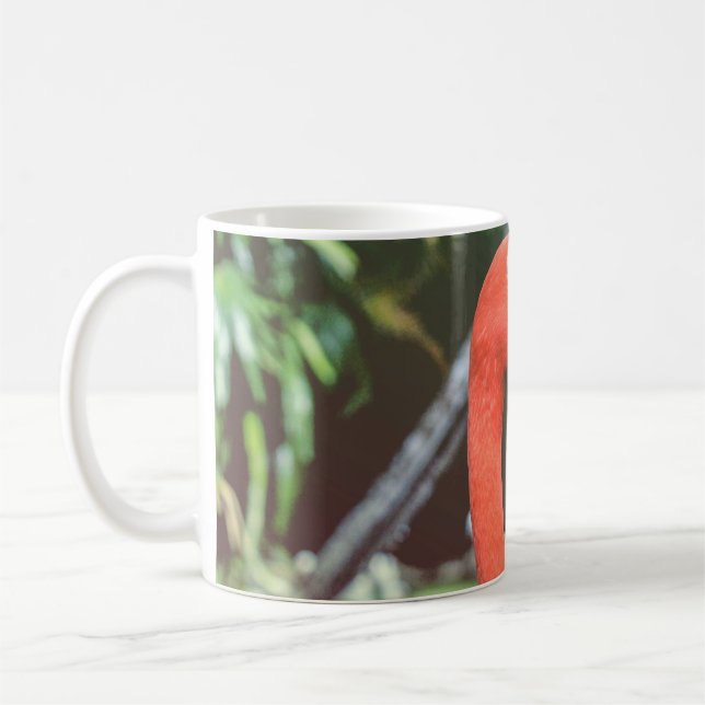 Caneca De Café Fotografia aproximada de pássaro vermelho-de-pesco (Esquerda)