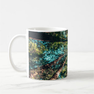 Caneca De Café Fotografia de baixo ângulo das árvores ao dia