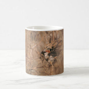 Caneca De Café Fotografia de pardais na primavera Fotografia da v