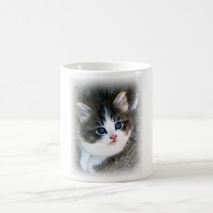 Caneca De Café Fotografia de retrato de Kitten SUPER CUTE