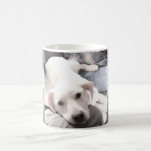 Caneca De Café Fotos de Cachorro Branco Bonito Saindo Com Pai Des