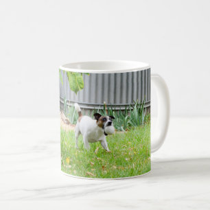 Caneca De Café Fox Terrier Engraçado Rosto De Medo,