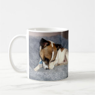 Caneca De Café Fox Terrier, Oh Tão Tão Tímido, Tumpa Branca De