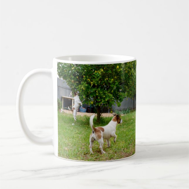 Caneca De Café Fox Terrier Pulando Em Uma Árvore, (Esquerda)